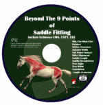 Beyond the 9 Points of Saddle Fitting Video Download