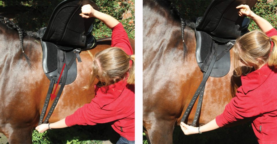 Saddle Fit and Billet Alignment Tip 5 • Schleese