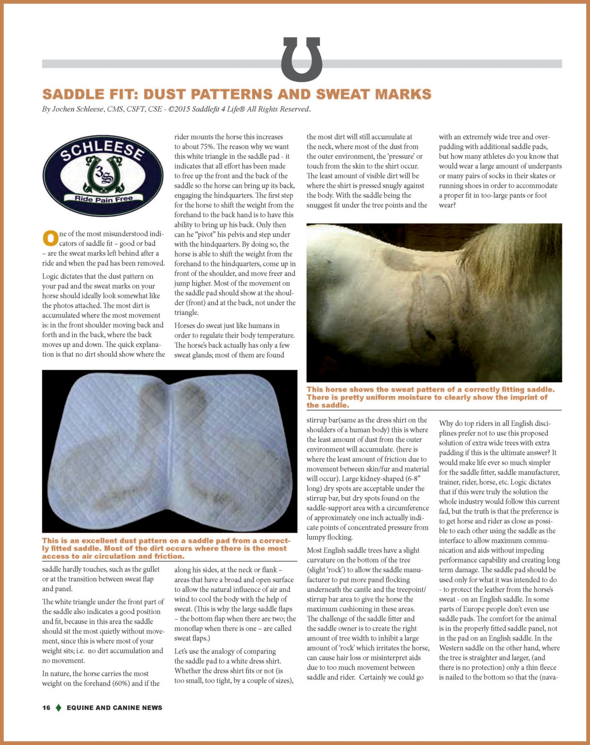 Saddle Fit Dust Patterns and Sweat Marks • Schleese