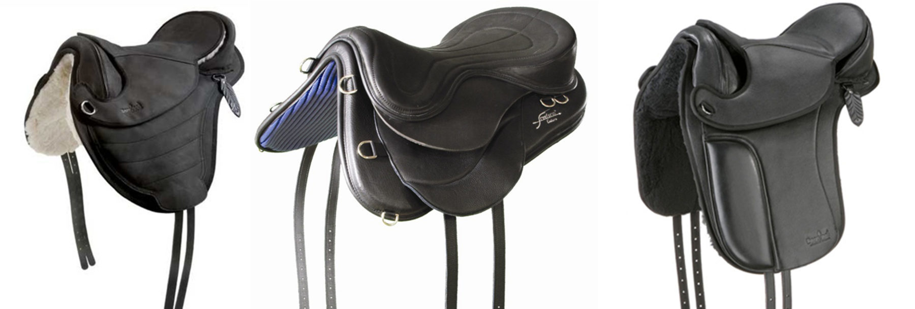 Saddle Fit and Treeless Saddles • Schleese
