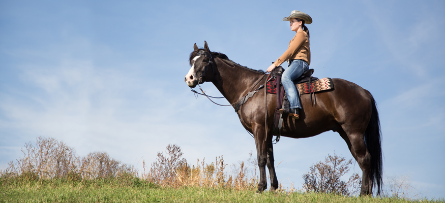 horse riding supplies near me