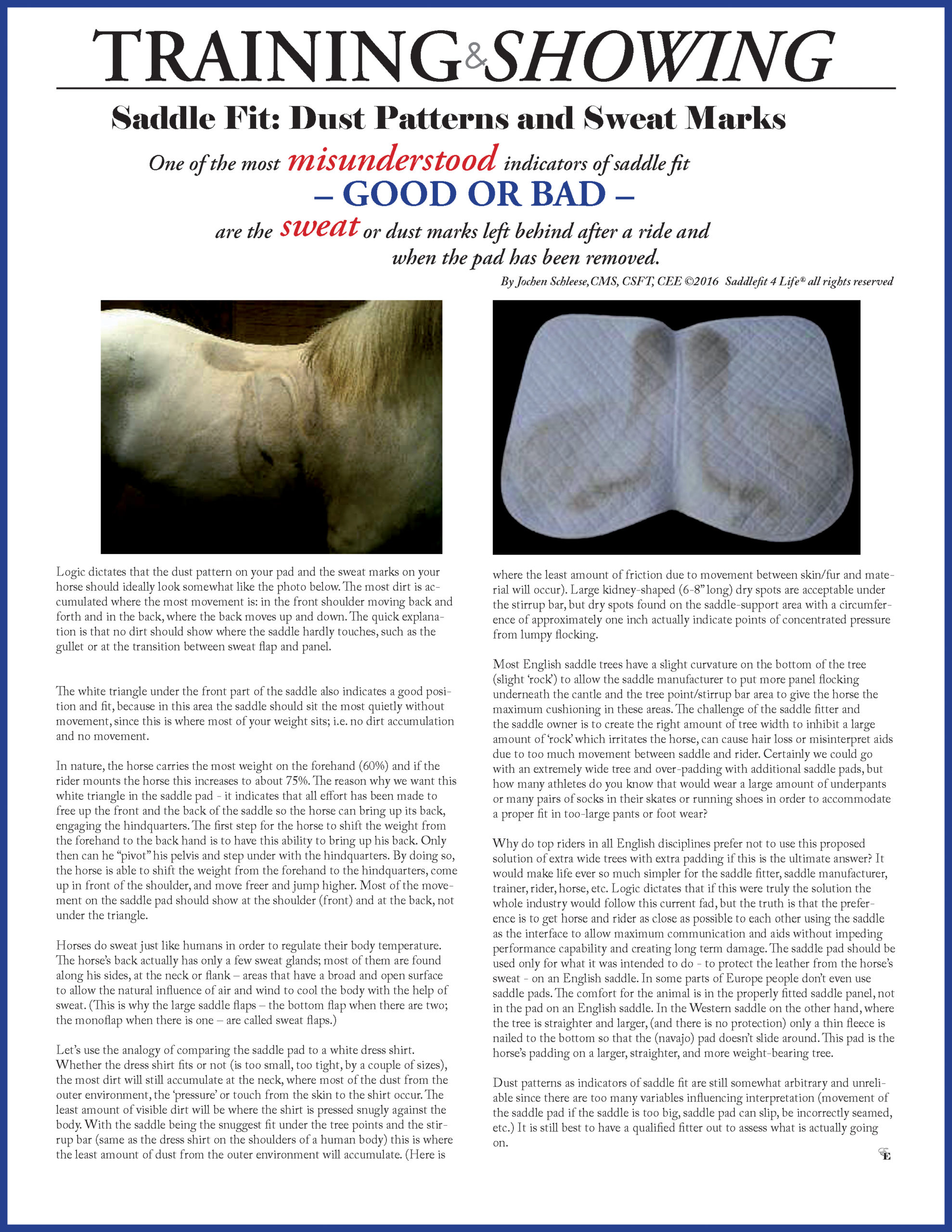 Saddle Fit Dust Patterns and Sweat Marks • Schleese