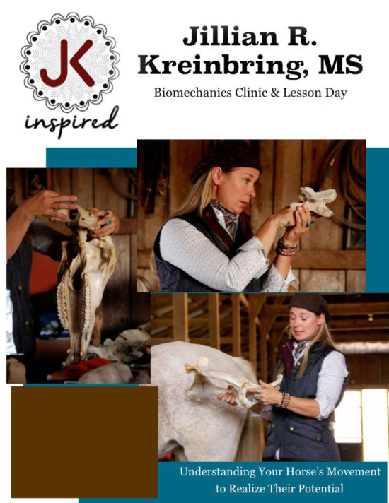 Jillian R. Kreinbring, MS