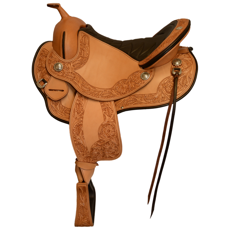 Cadence Western Dressage Schleese