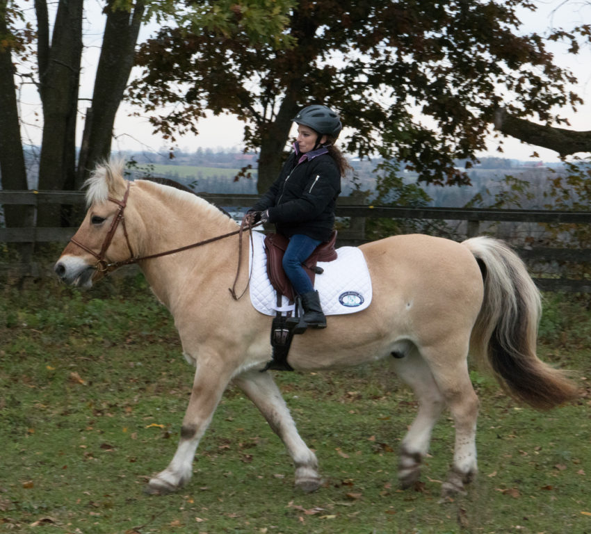 Bonita Dressage saddle