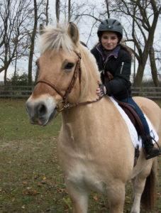 Bonita Dressage saddle