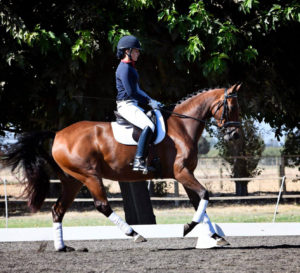 Photo by Tamara courtesy of Christiane Noelting Dressage Centre, CA.