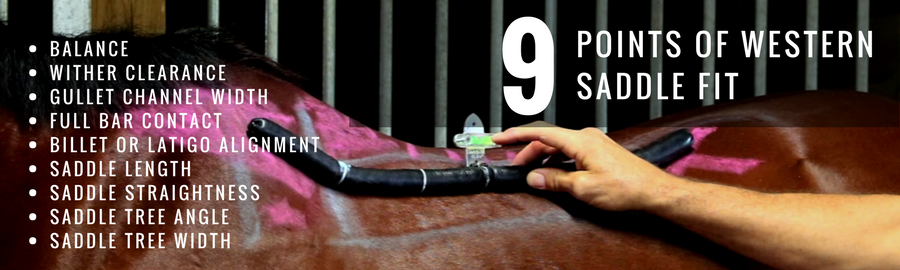 Click to view the 9 Points of Western Saddle Fit.