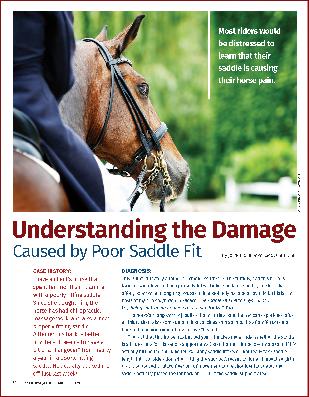 Understanding the Damage Caused by Poor Saddle Fit • Schleese
