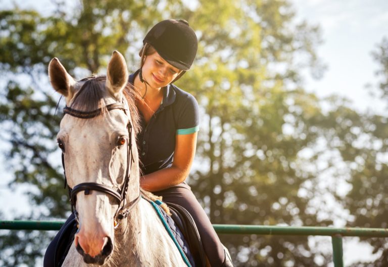 Why Schleese? – The Female Saddle Specialist • Schleese