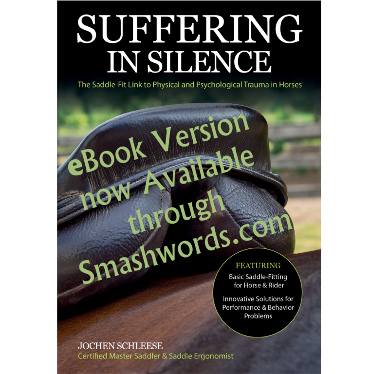 Suffering in Silence - eBook Version • Schleese