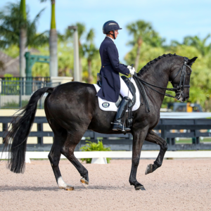 Nancy Smith - Schleese Ambassador - Schleese Quantum VCFS saddle - photo courtesy of ©Susan J Stickle