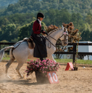 Stephanie Hayes riding her horse at the USAQWE Working Equitation Eastern Zone Championships 2024