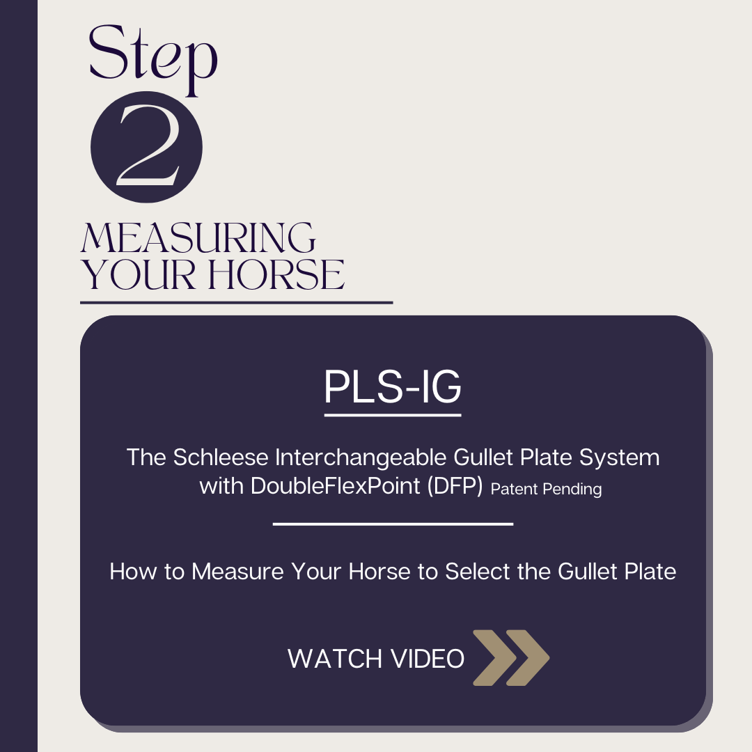 Video Step 2 - Measuring your horse