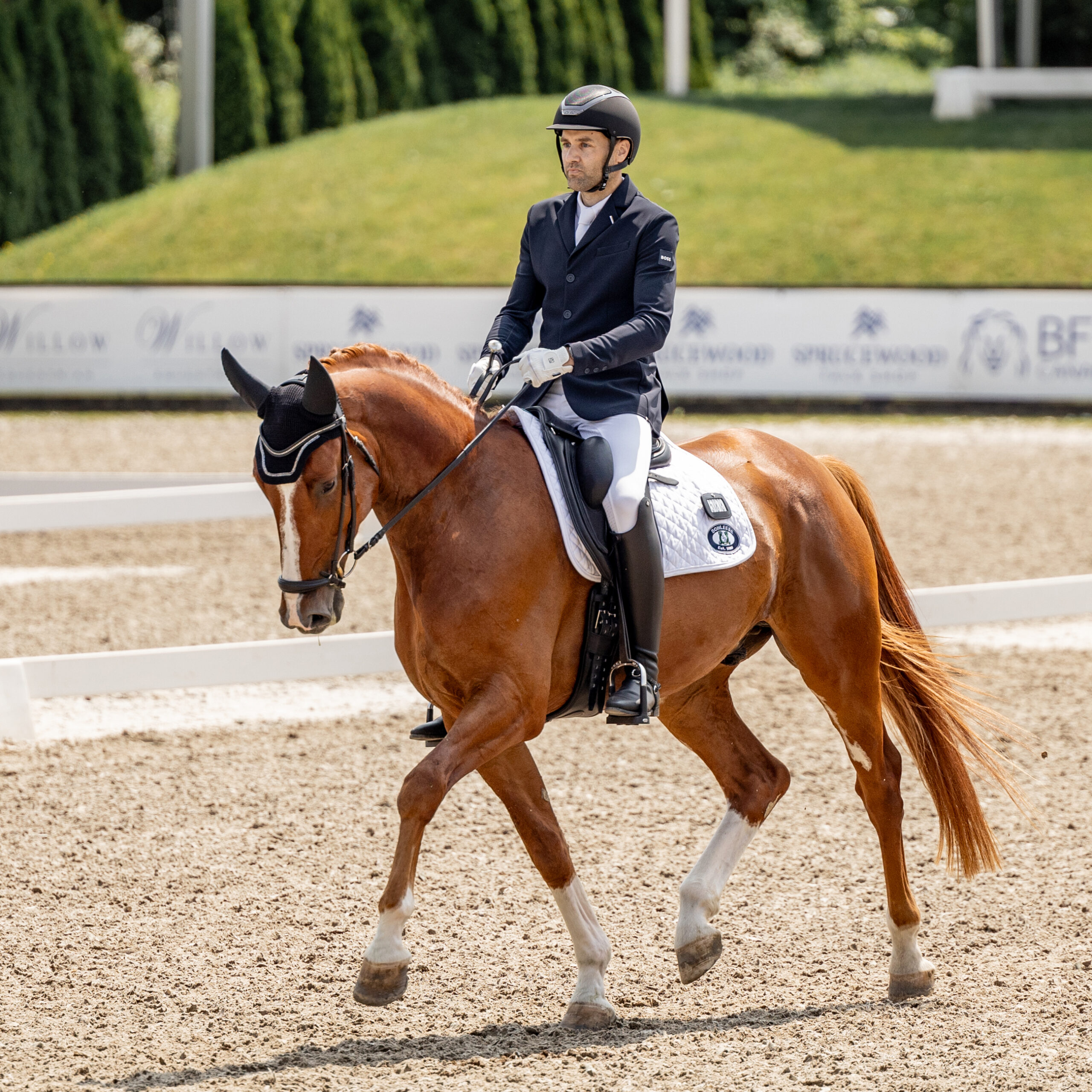 David Boots Schleese Ambassador - Canadian Dressage Rider
