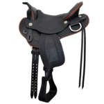 Cadence - Western Dressage