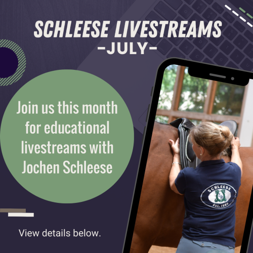 Schleese Livestreams - July 2024