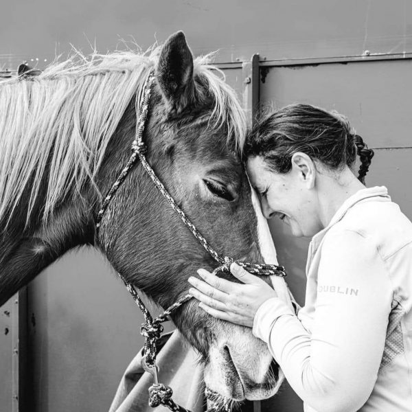 Alisha Taylor – Schleese Certified Equine Ergonomist and Distributor Alisha Taylor - Schleese Certified Equine Ergonomist and Distributor