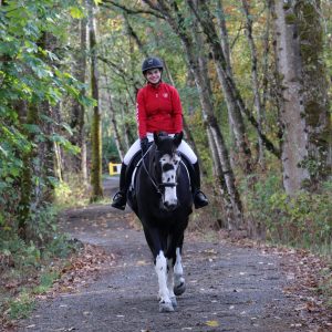 CIG_IMG168