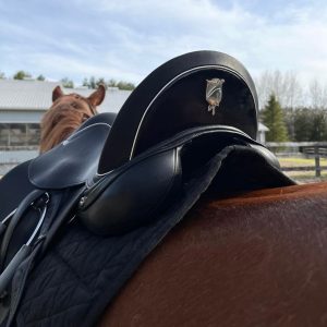 Schleese ProLight Dressage saddle with Glamour Options