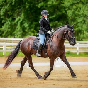 Lauren Zandstra - Customer Testimonial