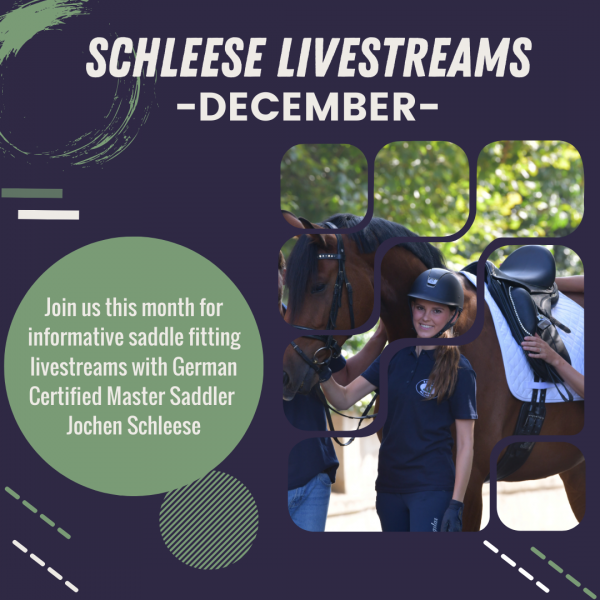 Schleese Livestream Schedule for December 2024