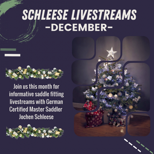 Schleese December 2025 Livestreams Schedule