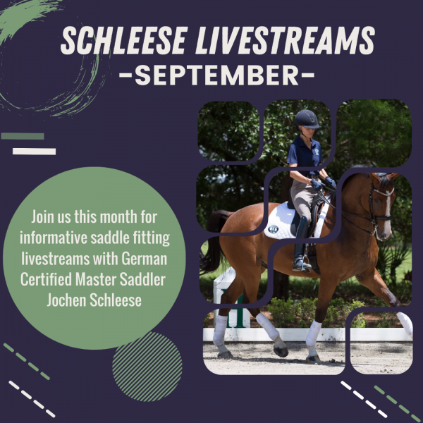 Schleese Livestream Schedule for September Schleese Livestream Schedule for September