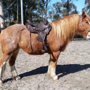 Melita - Devin Trail Saddle - cropped - Aug 17, 2017