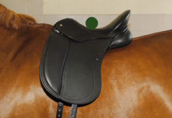 Center Balanced Dressage Saddle