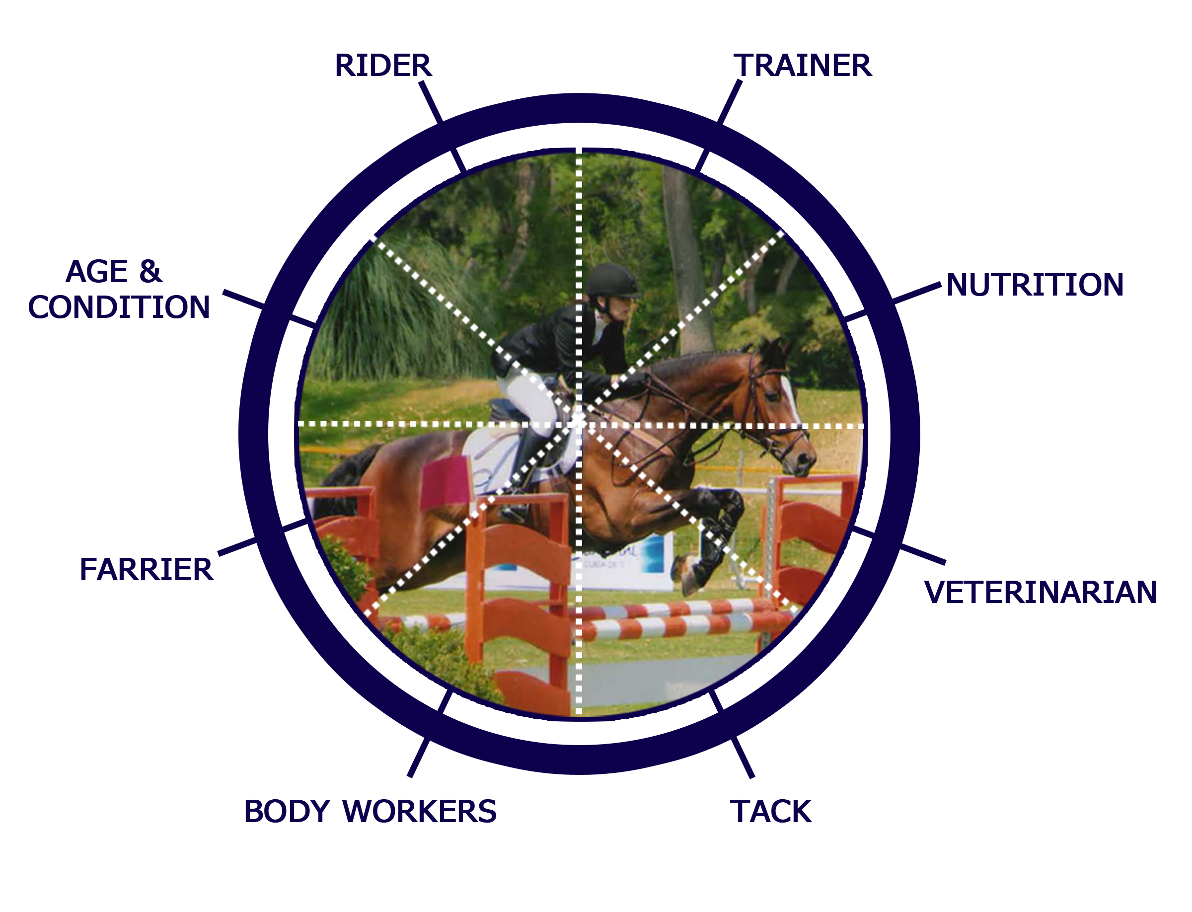 Circle of Influence for any Horse