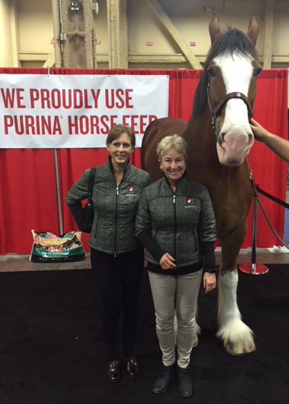 Cathy Rothery & Sabine Schleese at the AAEP Convention with Manson a Budweiser Clydesdale - Dec. 2015.