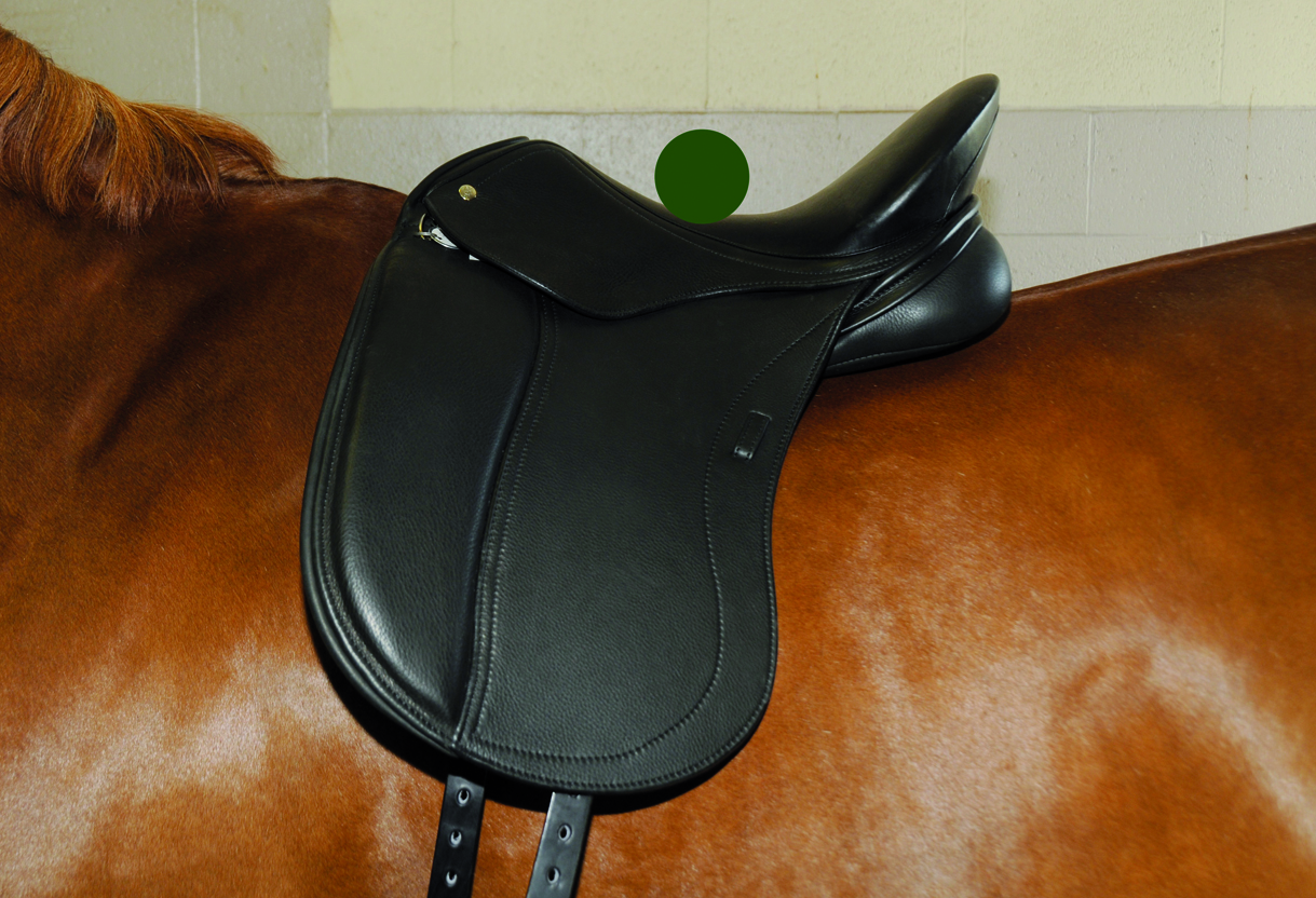 This dressage saddle shows where the center of balance is.
