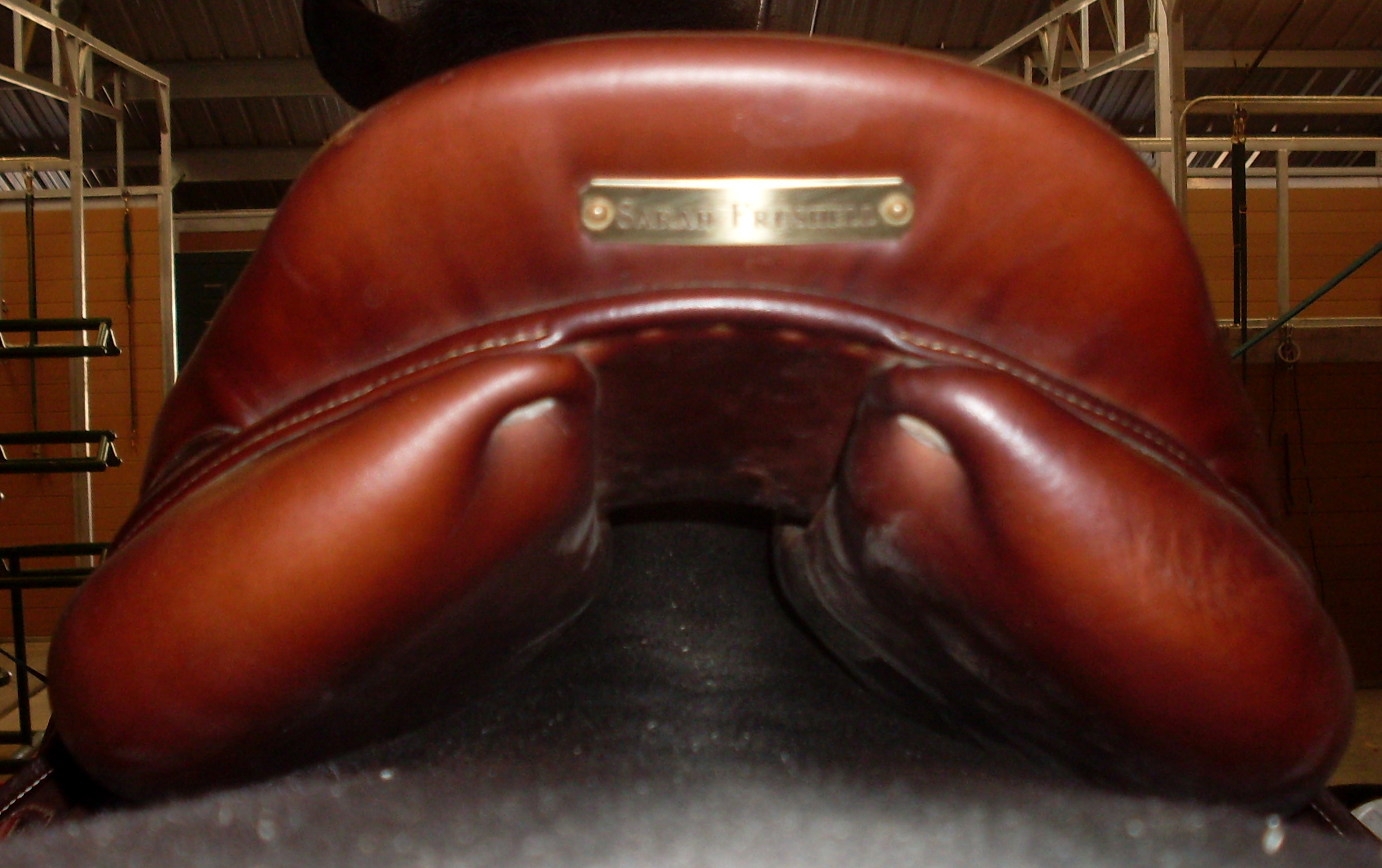 Jumper saddle with foam panels showing very little contact with the horse's back in this case.