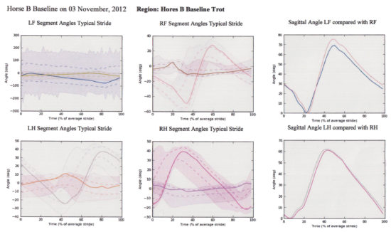 Horse B - Baseline Trot - The charts above and below are printouts from the Pegasus Gait Analysis Software used in the experiment to determine the effect on various gaits with different saddles (western, fitted English, treeless and non-adjusted English saddles (Without specific comment as to what the findings represent).