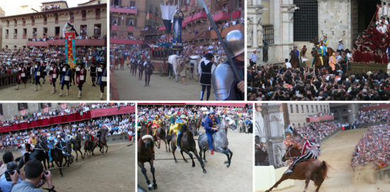 Horses - Palio in Siena
